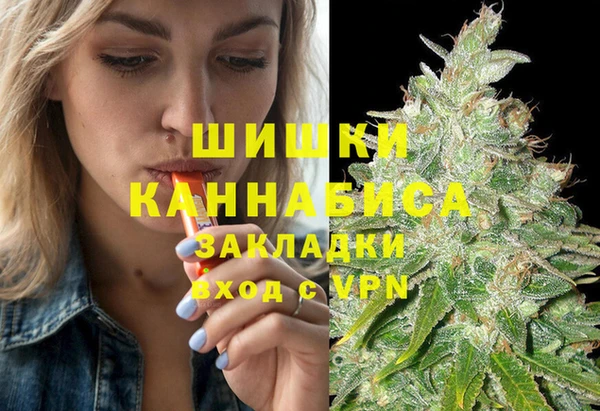 ГАЛЛЮЦИНОГЕННЫЕ ГРИБЫ Аркадак