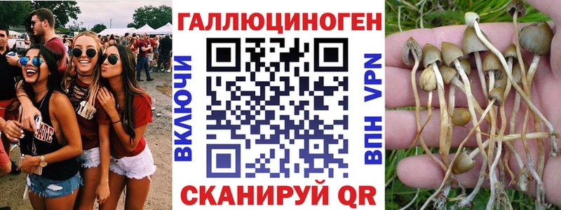 хочу   Минеральные Воды  Псилоцибиновые грибы Magic Shrooms 